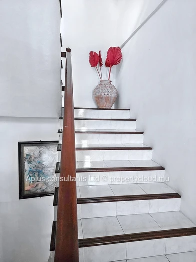 Espace Commercial à Vendre : Curepipe, Eau Coulée